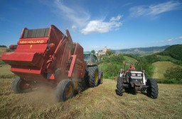 azienda agricola, Iddiano