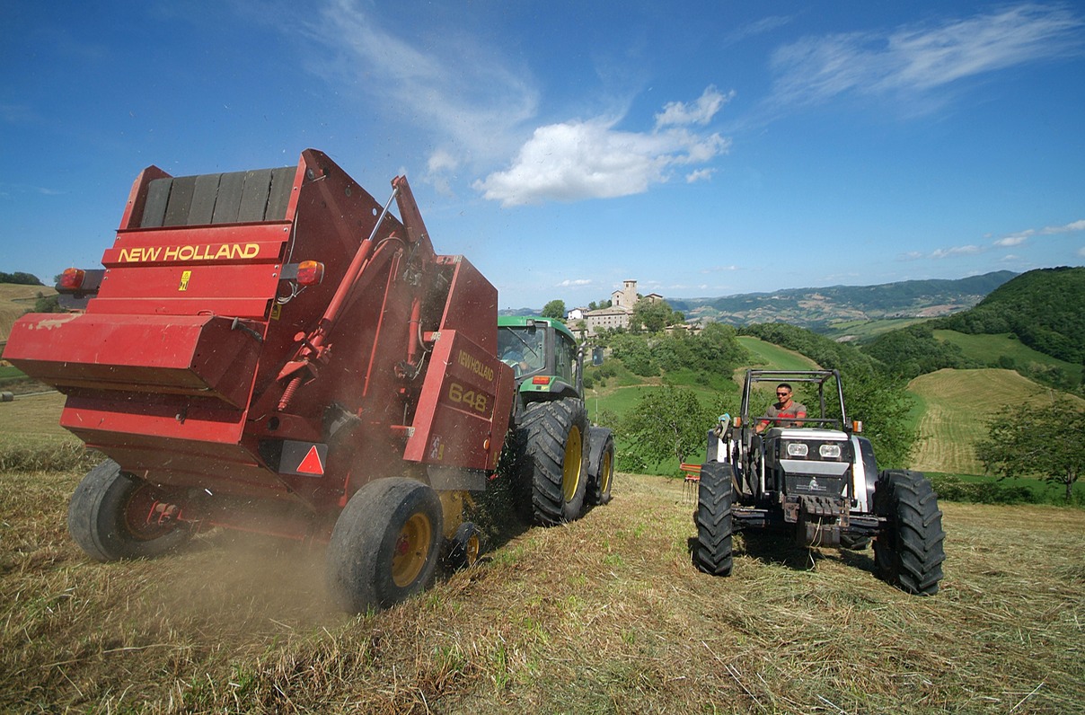 azienda agricola, Iddiano