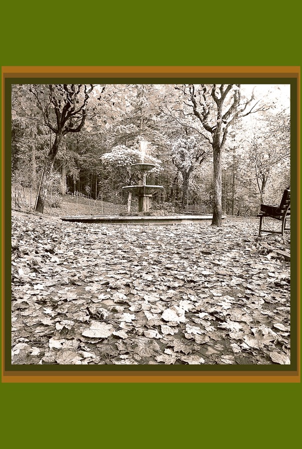fontana, pineta