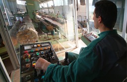 lavorazione tronchi