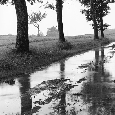 paesaggio-strada-con-pioggi